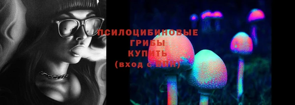 твердый Абаза