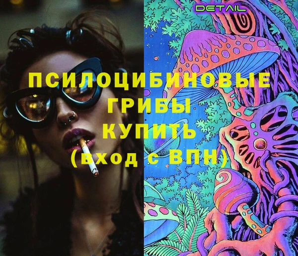 a pvp Протвино