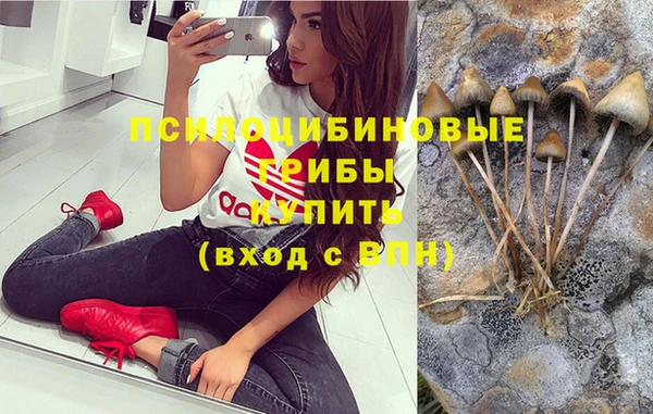 кокс Абинск