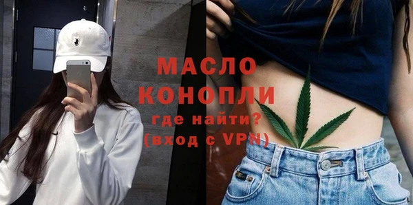 молекула духа Ельня