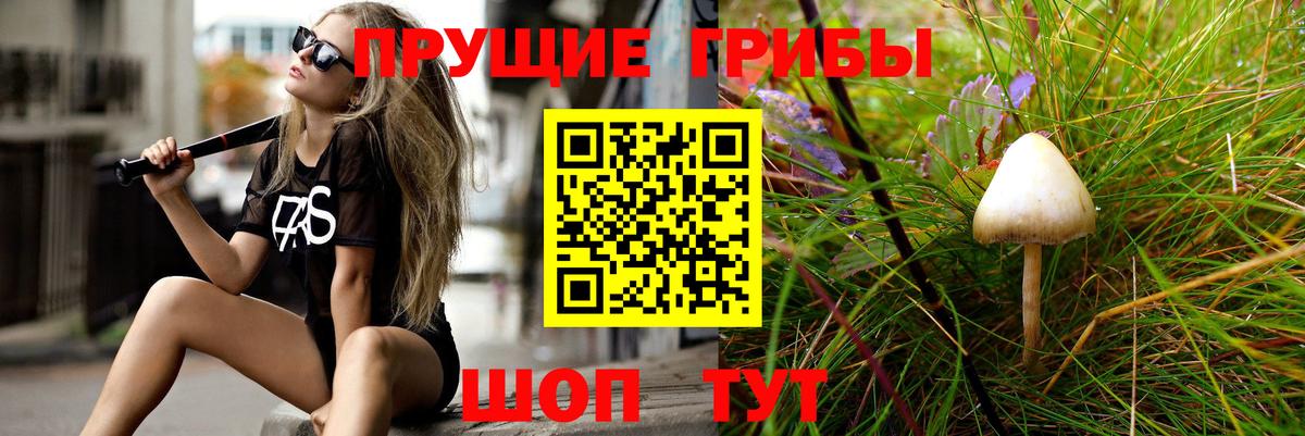 Псилоцибиновые грибы Psilocybe  Вход с VPN  Псилоцибиновые грибы ЛСД  Рассказово 