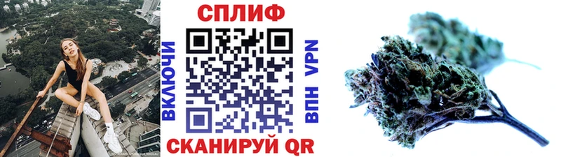 МАРИХУАНА сатива  Рассказово 